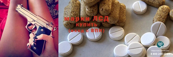 спайс Богданович
