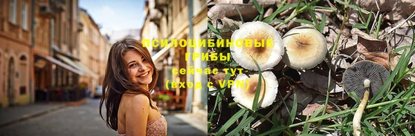 дживик Белоозёрский